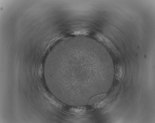 X0000088030563200705182028