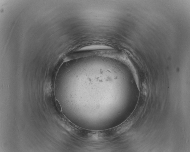 X0000088030564200705182028