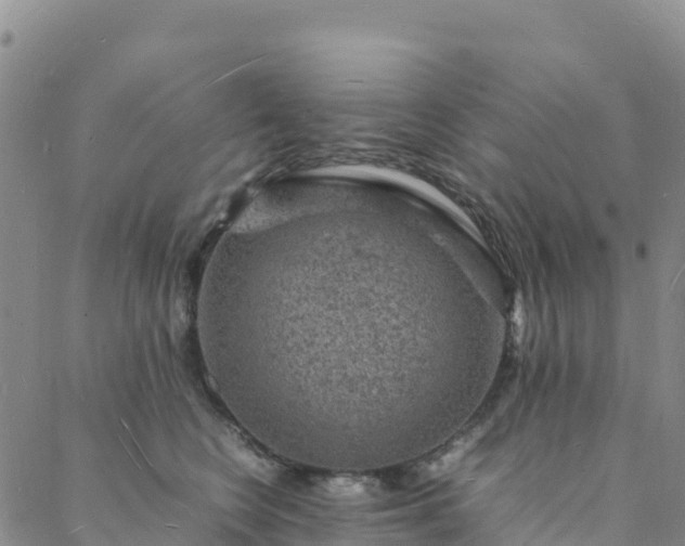 X0000088030566200705182028