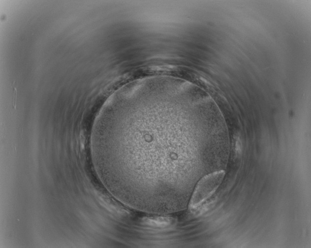 X0000088030567200705182028