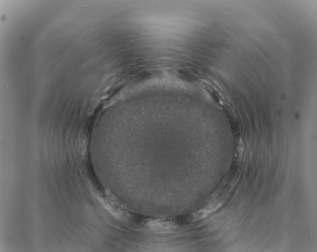 X0000088030568200705182028