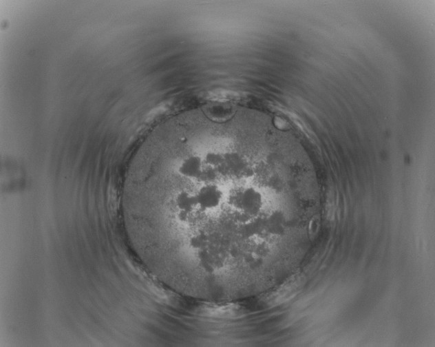 X0000088030569200705182028