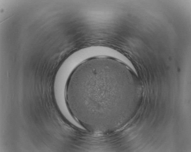 X0000088030570200705182028