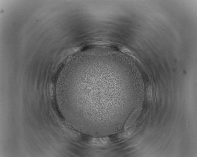 X0000088030571200705182028