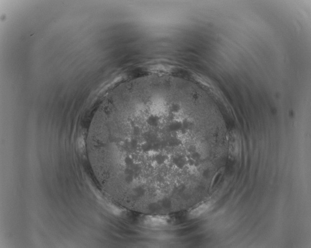 X0000088030573200705182028