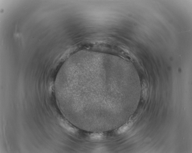 X0000088030574200705182028