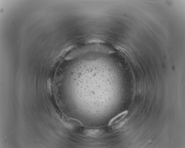 X0000088030575200705182028