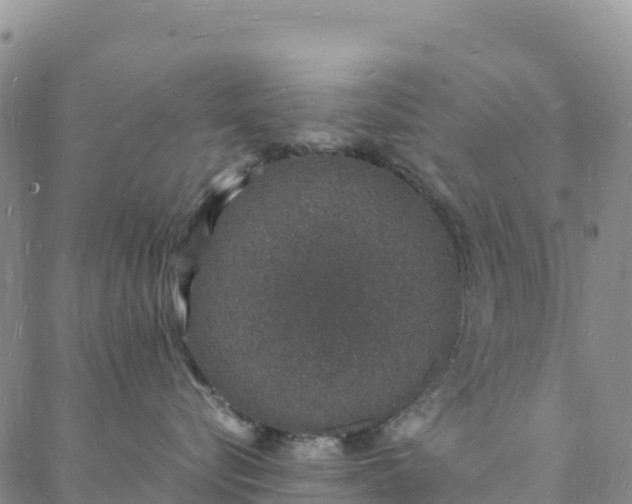 X0000088030576200705182028