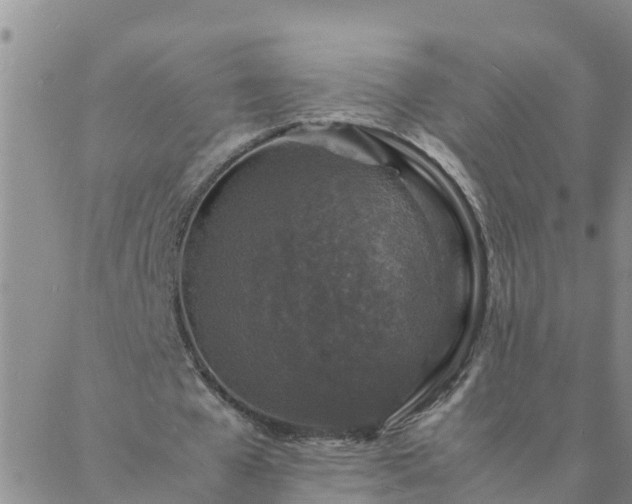 X0000088030577200705182028