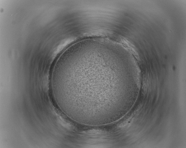 X0000088030578200705182028