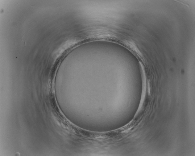 X0000088030579200705182028