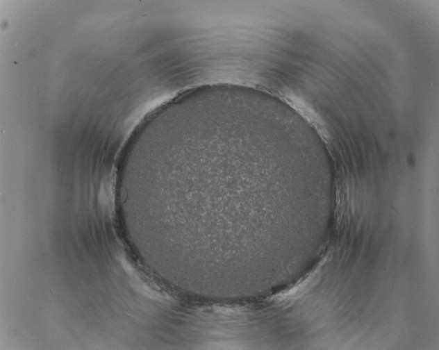 X0000088030580200705182027