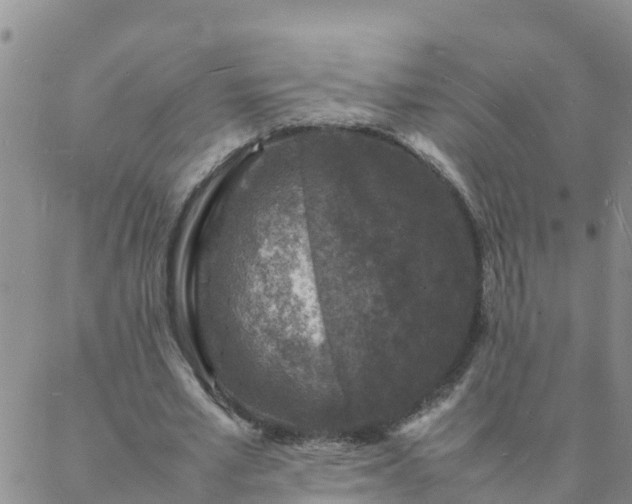 X0000088030581200705182027