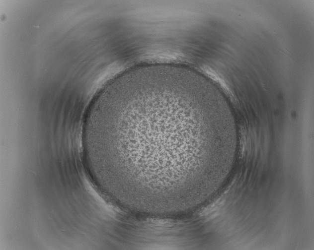 X0000088030582200705182027