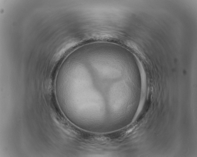 X0000088030583200705182027