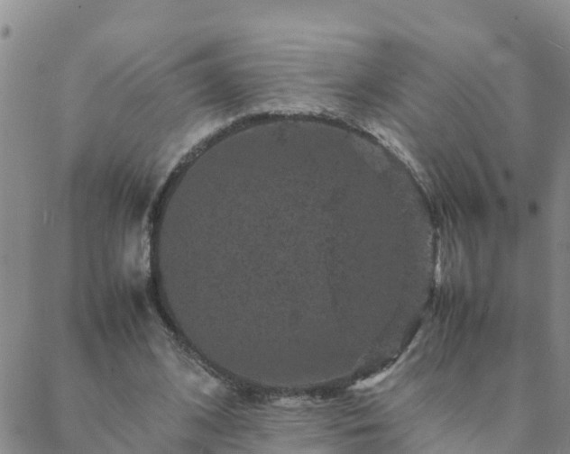 X0000088030584200705182027