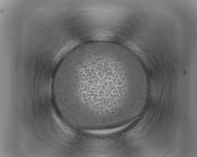 X0000088030586200705182027