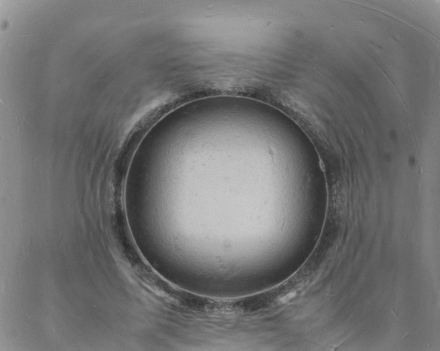 X0000088030587200705182027