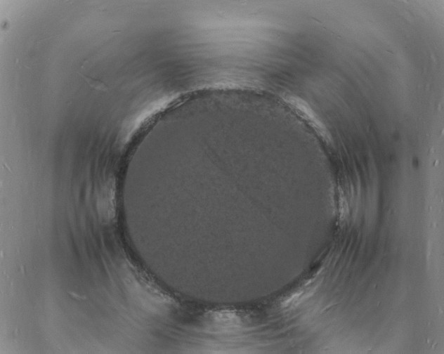 X0000088030588200705182027