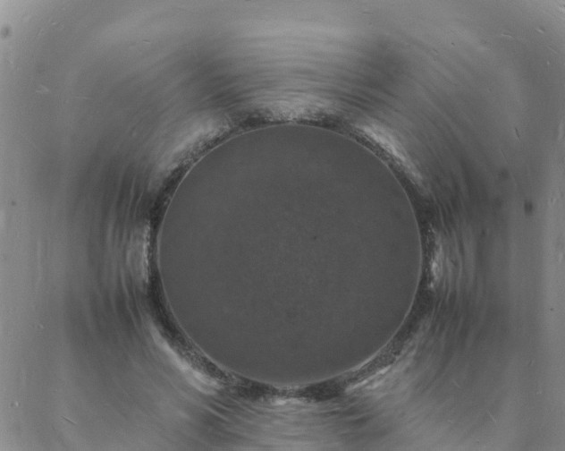 X0000088030590200705182027