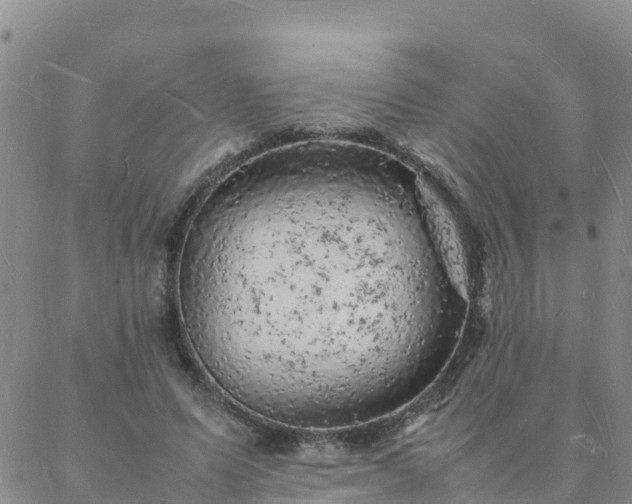 X0000088030591200705182027