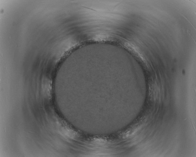 X0000088030592200705182027