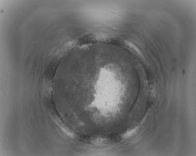 X0000088030593200705182027