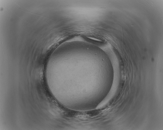 X0000088030595200705182027