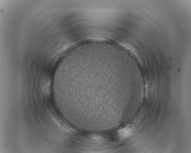 X0000088030596200705182027