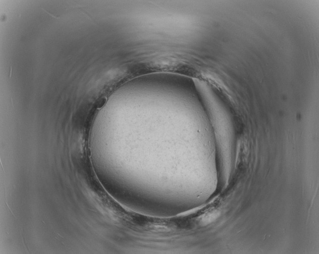 X0000088030597200705182027