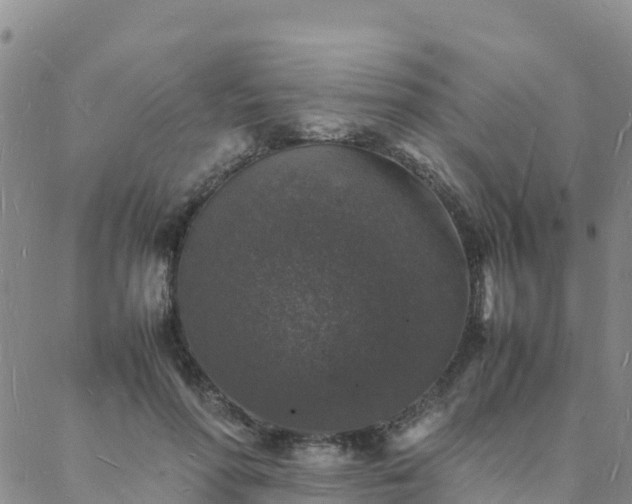 X0000088030598200705182027