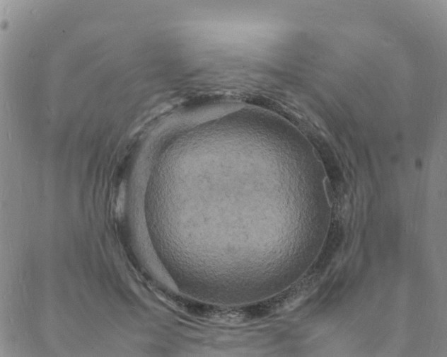 X0000088030599200705182027