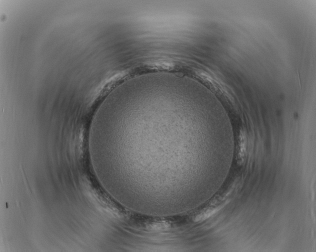 X0000088030600200705182027