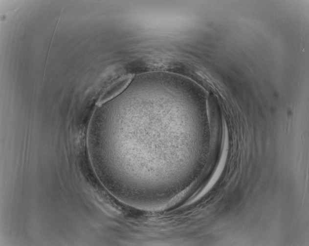 X0000088030601200705182027