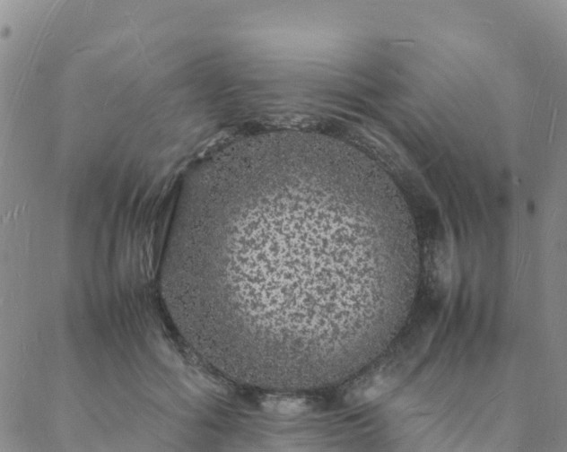 X0000088030602200705182027