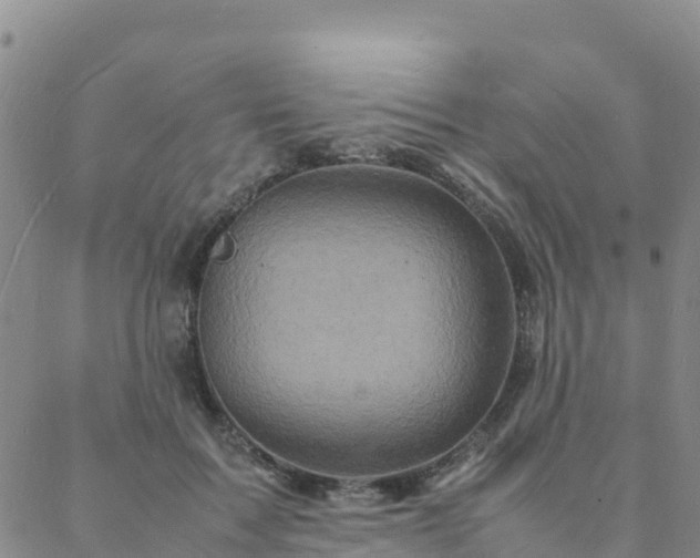 X0000088030603200705182027