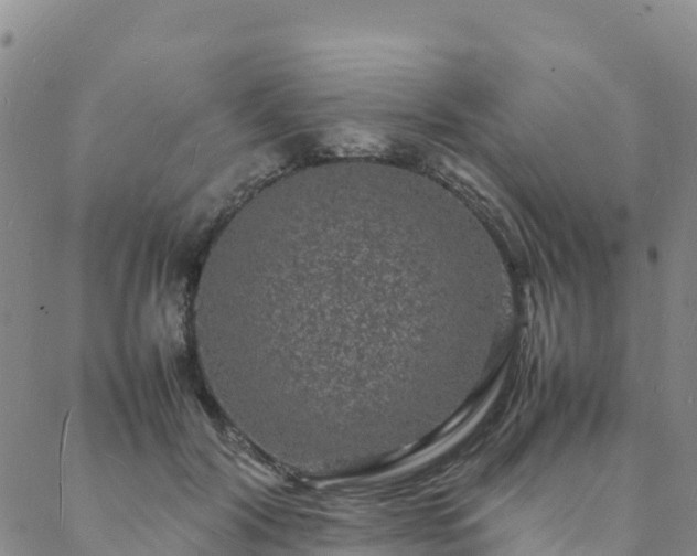 X0000088030604200705182027