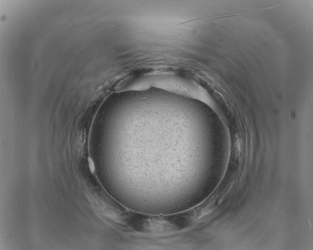 X0000088030605200705182027