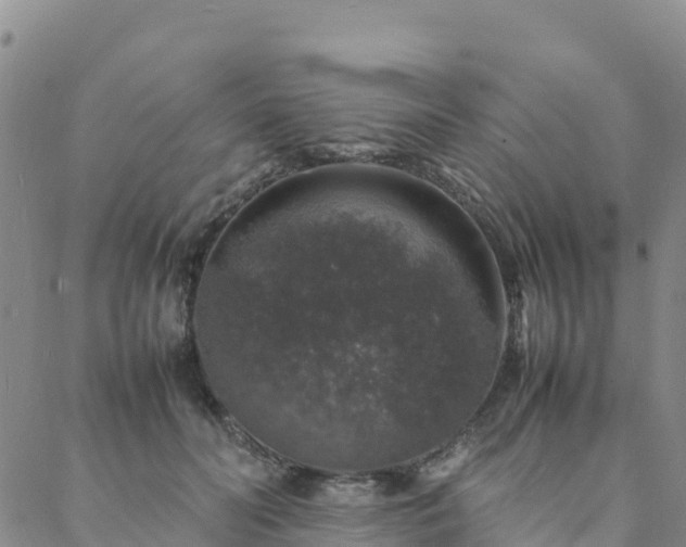 X0000088030606200705182027