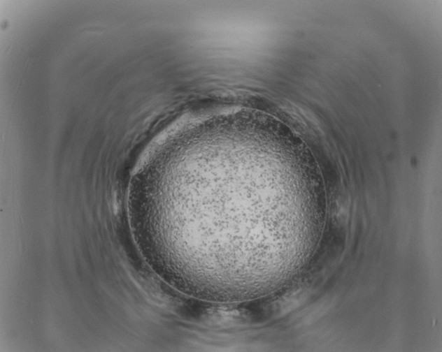 X0000088030607200705182027