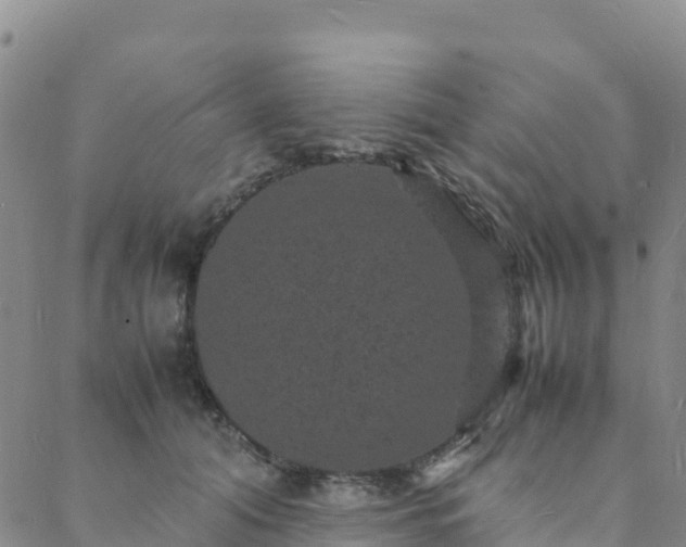 X0000088030608200705182027