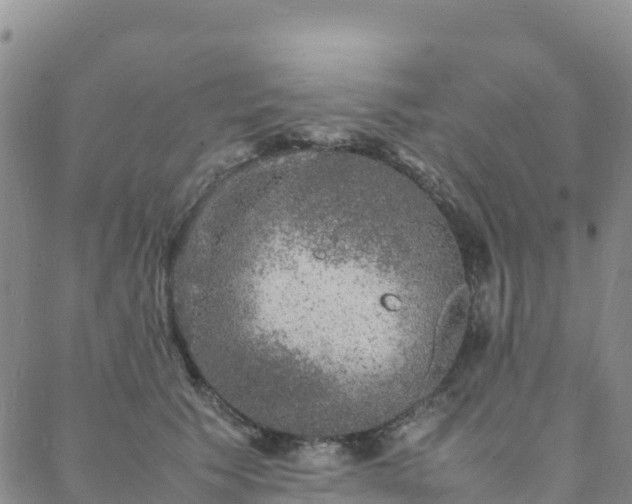 X0000088030609200705182027