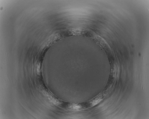 X0000088030610200705182027