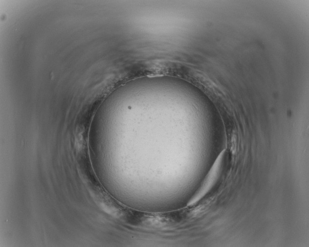 X0000088030611200705182027