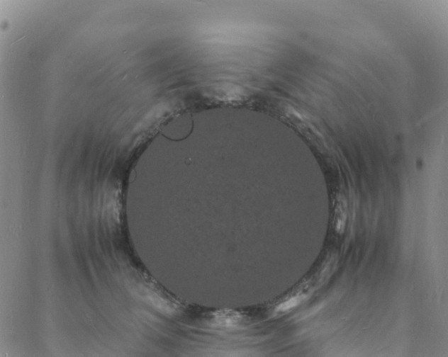 X0000088030612200705182027