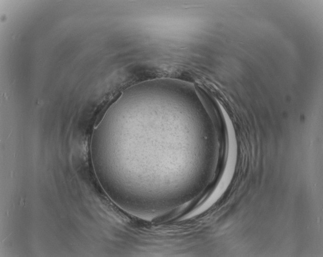 X0000088030613200705182027