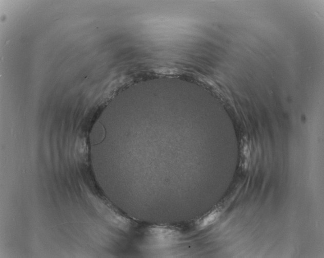 X0000088030614200705182027