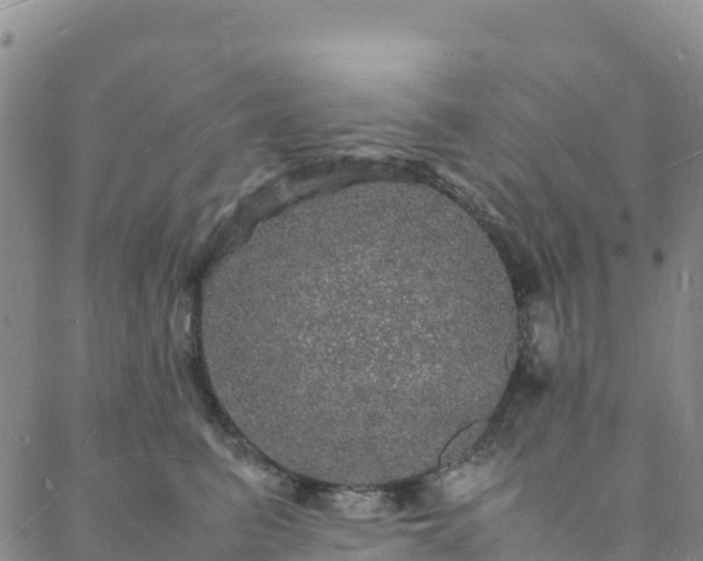 X0000088030615200705182027