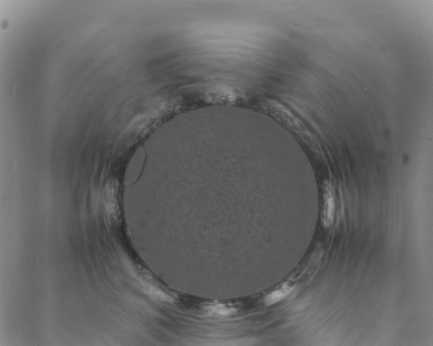 X0000088030616200705182027