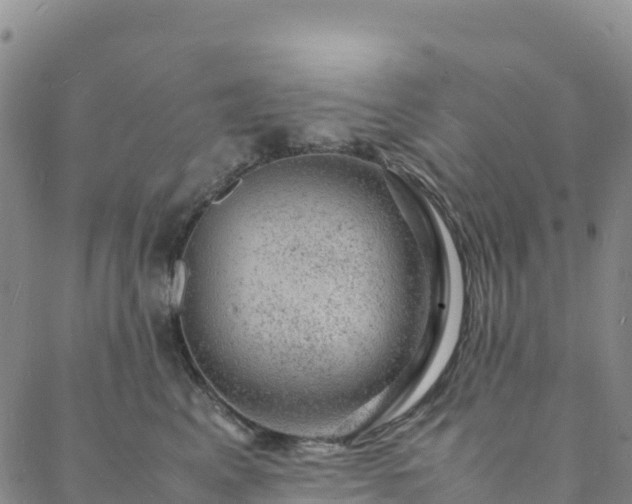 X0000088030617200705182027